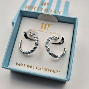 NEW Bomb Party "Dream Chaser" March Birthday Earrings Aquamarine on Rhodium $160